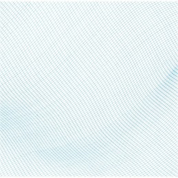 Bestway 58277 baseino valymo tinklelis