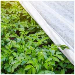 Agrotekstilė 1,1x5 m spyruoklinė balta 17 g/m²