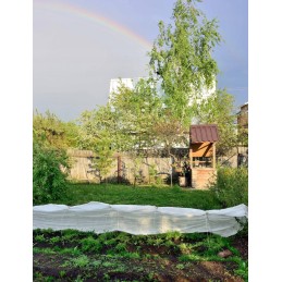 Balta agrotekstilė 1,5m 15g/m2 su UV 40m bellushortus