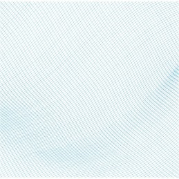 Bestway 58277 baseino valymo tinklelis