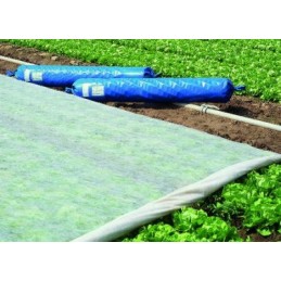 Spyruoklinė balta UV agrotekstilė 17g/m2 *1,6x10m