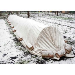 Balta agrotekstilė 150g/m2 su UV 5m bellushortus