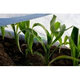 Balta spyruoklinė agrotekstilė, plotis 1,6 m x 20 m. geriausias Allegro pasiūlymas.