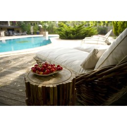 2 x siurblio filtro tipas ir siurblio įdėklas 58093