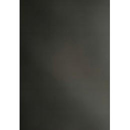 2 filtrų filtras Bestway ir 58093 baseino siurbliui