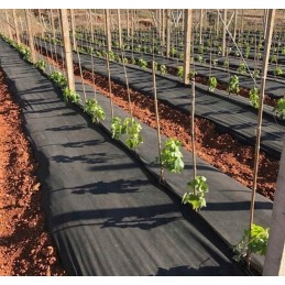 Agrotekstilė 0,4 m x 20 m, juoda, atspari piktžolėms, UV, 60 g