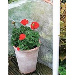 Balta žieminė agrotekstilė 50 gr, plotis 75 cm x 25 m, UV