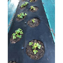 Stora juoda agrotekstilė 80 gr 1x10 m piktžolėms