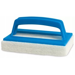 Megapool valymo kempinė