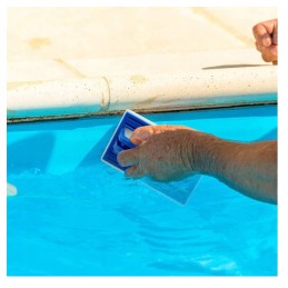 Megapool valymo kempinė