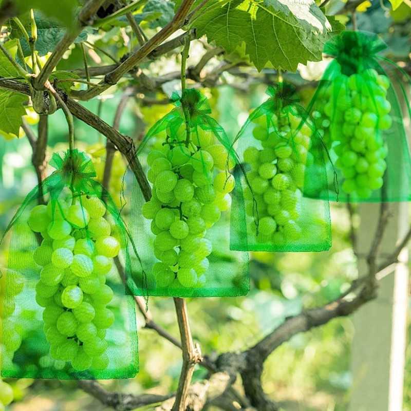 Apsauginiai maišeliai vaisiams ir vynuogėms, 20 vnt., apsaugantys nuo vabzdžių, daugkartinio naudojimo