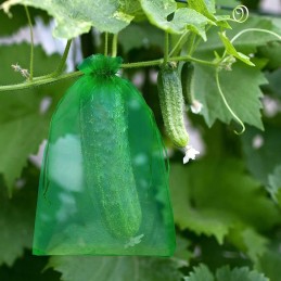 Apsauginiai maišeliai vaisiams ir vynuogėms, 20 vnt., apsaugantys nuo vabzdžių, daugkartinio naudojimo