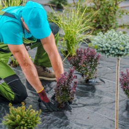 Kilimėlis nuo piktžolių agrotekstilė agrotekstilė 70g 3,2 x 5m stipri juoda