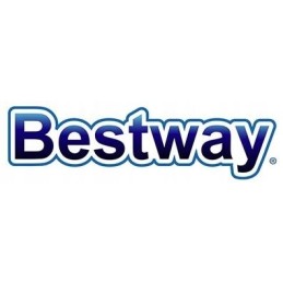 2x baseino siurblio filtrų kasetės bestway filtrai 58094 2 vnt