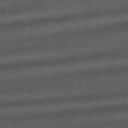 TERASOS BALKONO SODO ŠONINĖS TENGEČIŲ SURIČIAMAS DENGIMAS 200 x 1000 cm