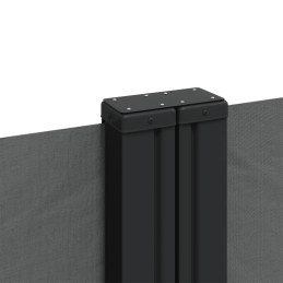 SĀNU MARĶĪTES RĪKOJAMS PĀRSEDZĒJS TERASES BALKONA DĀRZAM 220x1000 cm