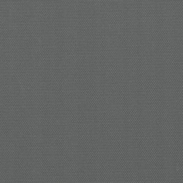 SĀNU MARĶĪTES RĪKOJAMS PĀRSEDZĒJS TERASES BALKONA DĀRZAM 220x1000 cm