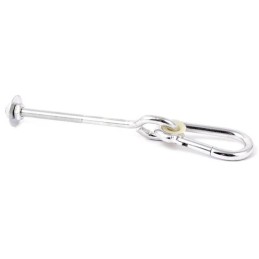 Swing hook with Teflon carabiner