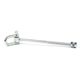 Swing hook with shackle
