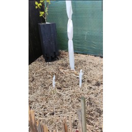 Agrotekstilė, žiemos apsauginis neaustinis audinys, 1,6x10m, 70g