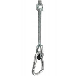Swing hook with carabiner