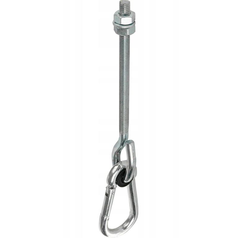 Swing hook with carabiner