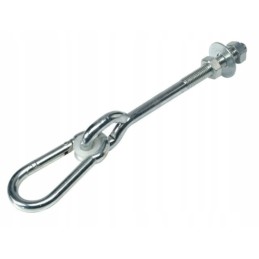 Swing hook with carabiner