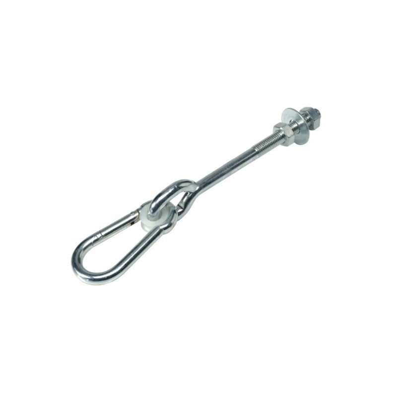 Swing hook with carabiner