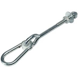 Swing hook with carabiner