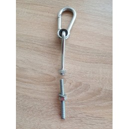 Swing hook with carabiner