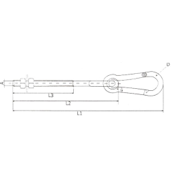 Swing hook with carabiner