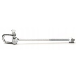 Swing hook with shackle