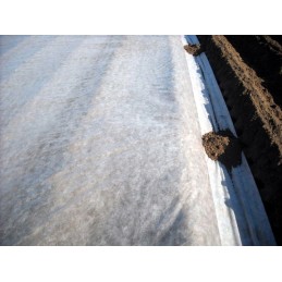 Agrotekstilė 50g/10m2, stora danga, pigu, lenkiška