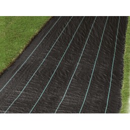 Parko nuo piktžolių agrotekstilės mulčiavimas, juodas, 200 x 500 cm