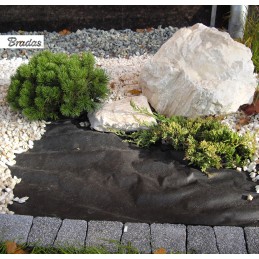 Agrotekstilė 1,6x10m 50g