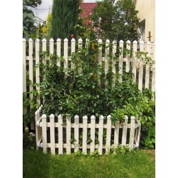 PVC suoliuko laiptelis 50 cm baltas