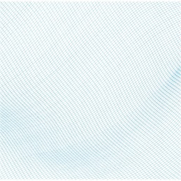 Tinklelis baseino valymui, vabzdžių, lapų ir purvo surinkimui