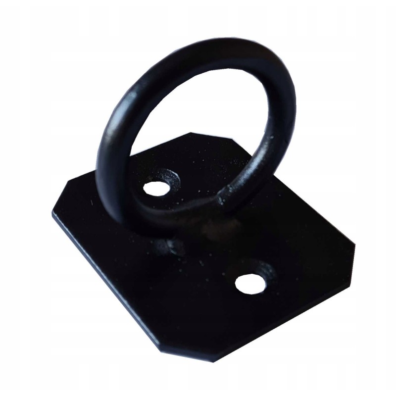 Lubų laikiklis 60x50/q35x6 dažytas