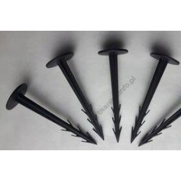 Aukštakulniai 12 cm 50 vnt