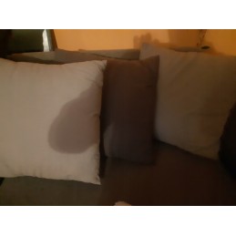 Mūsų įmonės pasiūlymas apima: