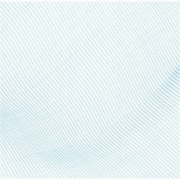 Bestway baseino valymo tinklelis