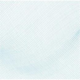 Bestway 58277 baseino valymo tinklelis