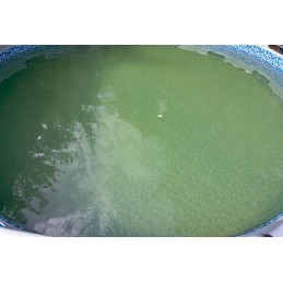 Baseino chemikalai chloro šokas baseino granulėms 1kg