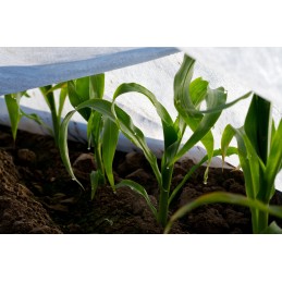 Spyruoklinis neaustinis audinys 3,2x10 agrimpex