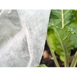 Agrotekstilė, stora, stipri balta agrotekstilė