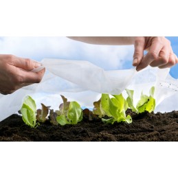 Agrotekstilė, stora, stipri balta agrotekstilė