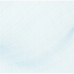 Bestway 58277 baseino valymo tinklelis