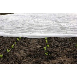 Balta agrotekstilė 1,60x10m p30 (30g/m2)