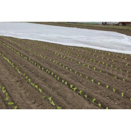 Balta agrotekstilė 1,60x10m p30 (30g/m2)