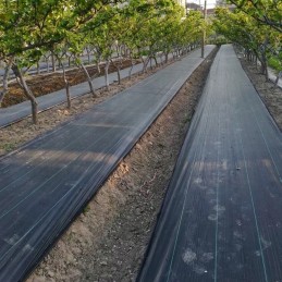 Agrotekstilė piktžolės 270 cm x 5m storio 90g/m2 agrotekstilė juoda stipri su UV